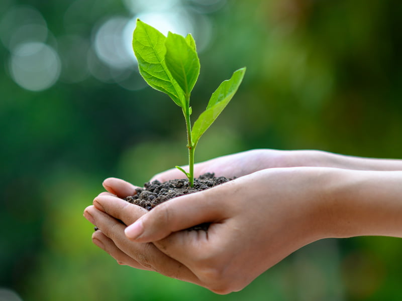 Graal Sucatas e Reciclagem